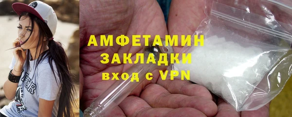 гидра Богородицк