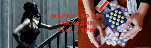 гидра Богородицк