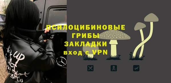 гидра Богородицк