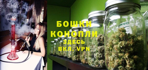 ГАЛЛЮЦИНОГЕННЫЕ ГРИБЫ Белоозёрский