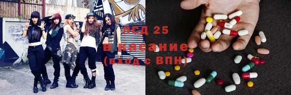 гидра Богородицк
