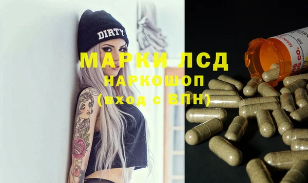 гидра Богородицк