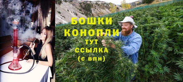 ГАЛЛЮЦИНОГЕННЫЕ ГРИБЫ Белоозёрский