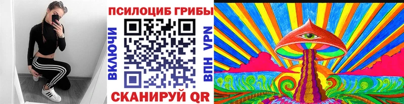 Галлюциногенные грибы мухоморы  как найти закладки  Бикин 